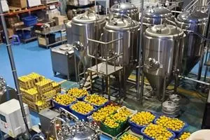 Brandyn tislauslaitteiden kysyntä kasvaa vähitellen